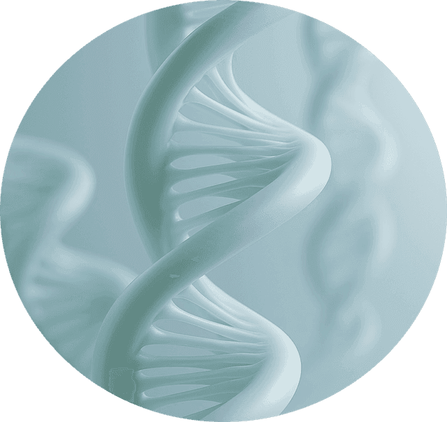 Supports metabolic efficiency